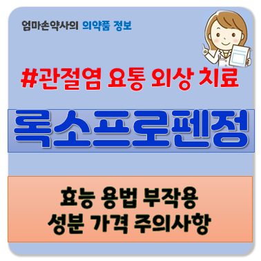 록소프로펜 록소프로펜정 소염진통제 관절통 요통 수술후 외상후통증 효능 부작용 용법 주....