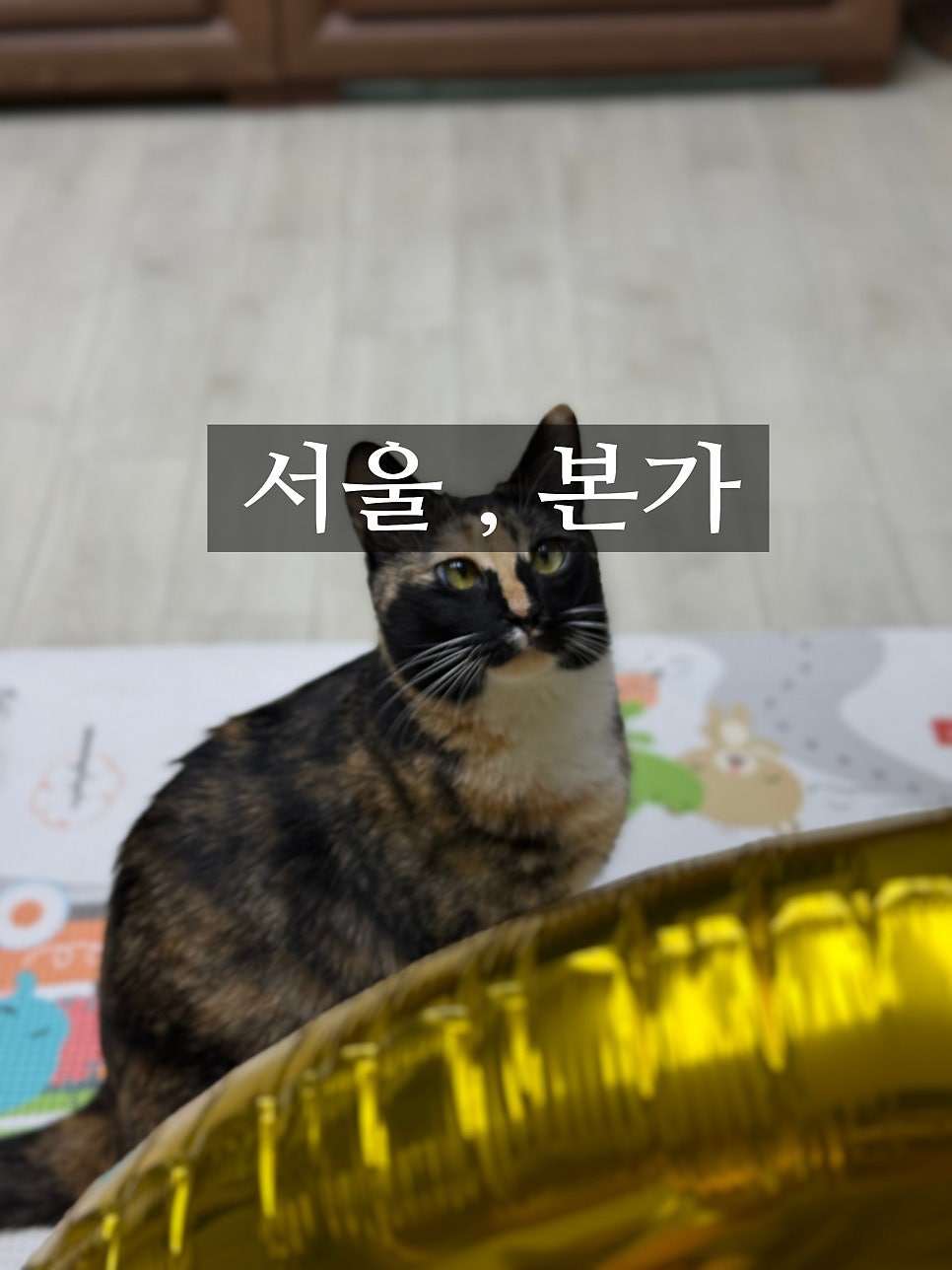 발산유황오리 사진 1