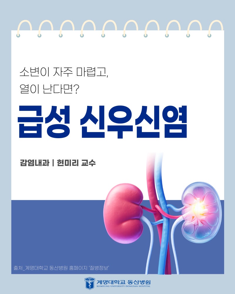 소변이 자주 마렵고, 열이 난다면? 급성 신우신염