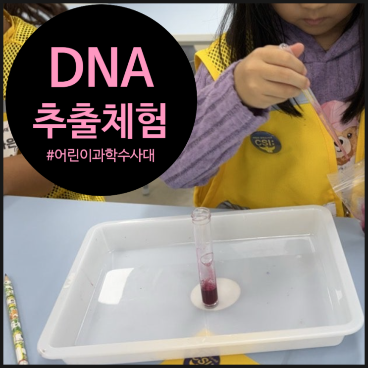 어린이과학수사대, 범인의 바코드를 찾아라! 초등 DNA추출체험 및 스토리텔링 과학 키움센터수업 리뷰