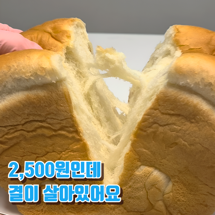  숨결통식빵 내돈내산 후기롯데마트 신상 식빵 통뜯촉 솔직 리뷰
