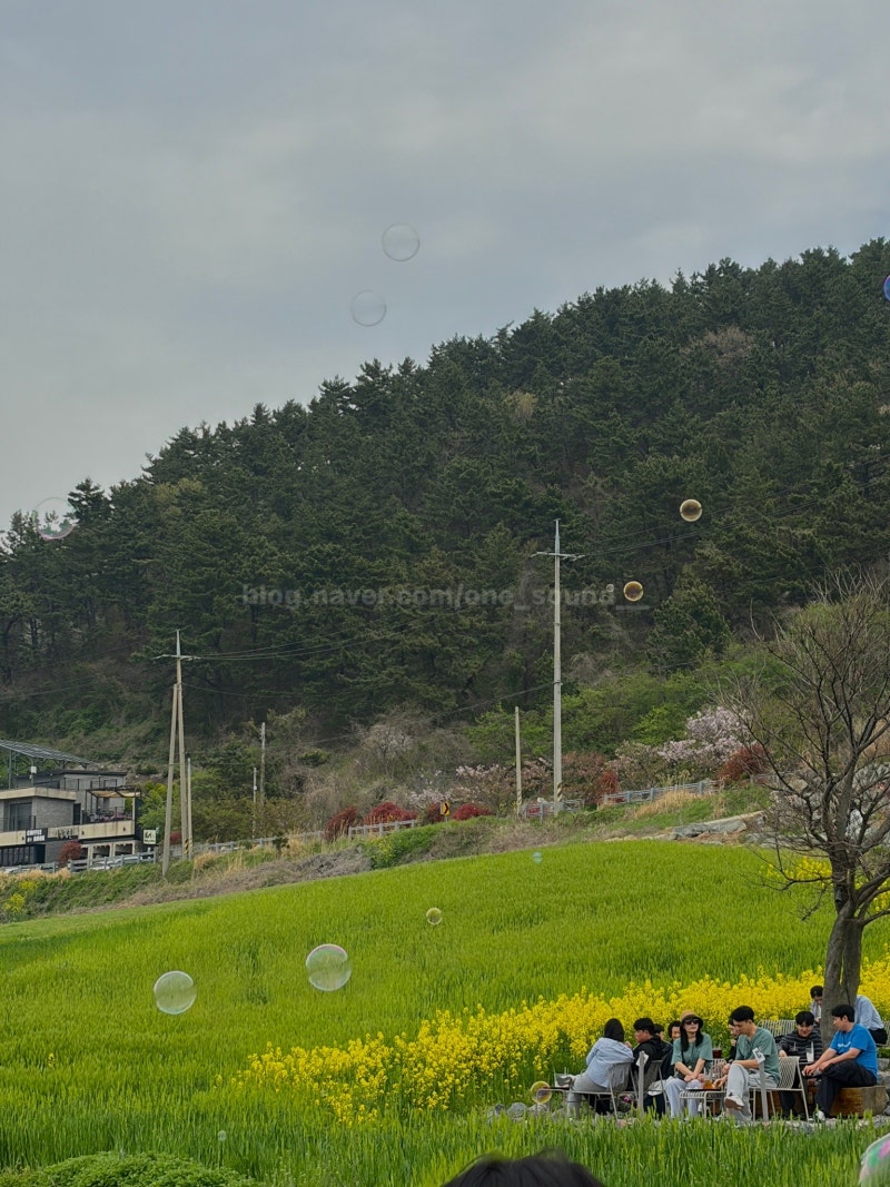 거창 반값여행 | 직접 신청하고 쓰는 가이드, 팁, 체크리스트