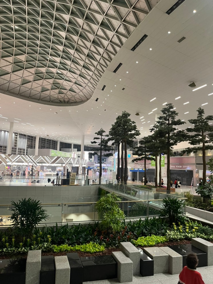  2026 인천공항 2터미널 노숙 실패 결국 밤샘