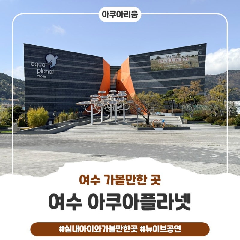 여수 아쿠아플라넷 후기｜벨루가부터 공연까지 27개월 아이와 만족한 여수여행 코스