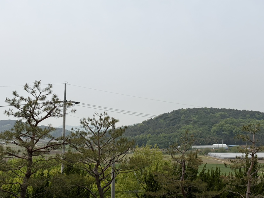 소희네 사진 2