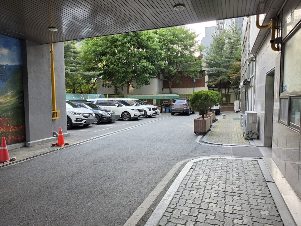 스시명 사진 4