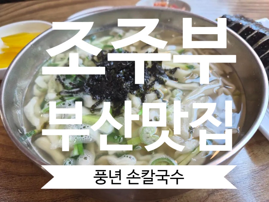 풍년손칼국수 사진 1