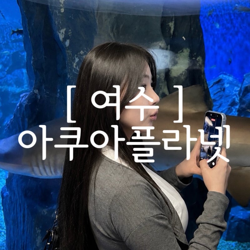 [ 여수여행 ] 여수 실내데이트 코스 추천! 아쿠아플라넷 여수 공연 꿀팁 총정리