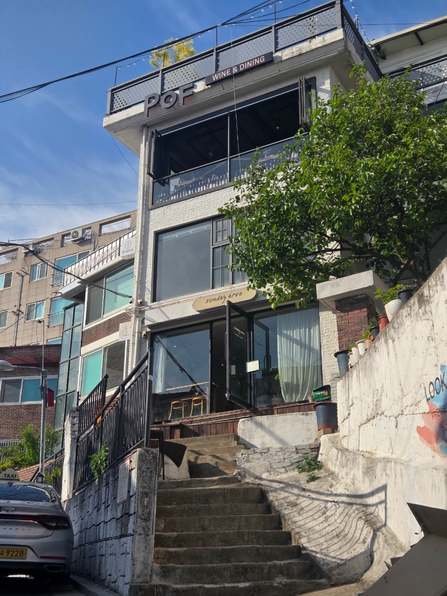 포프 사진 2