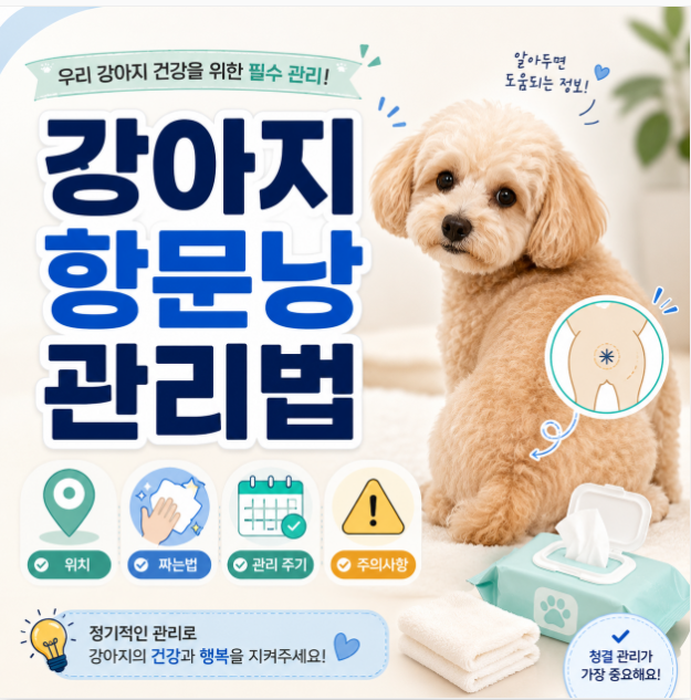 강아지 항문낭 위치와 짜는 방법, 관리 주기와 주의사항까지 알아보기