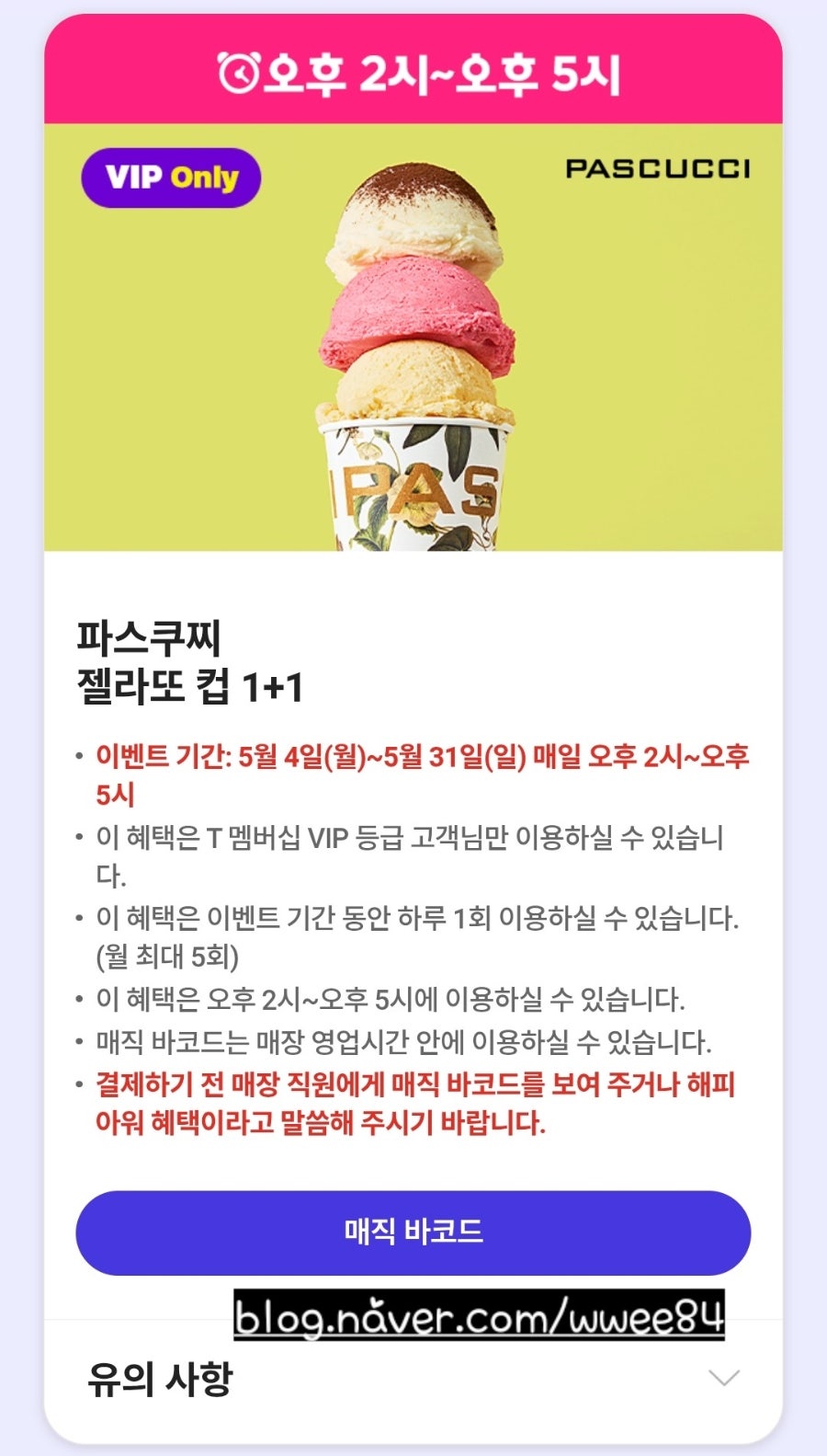 파스쿠찌 김천교동DT점 사진 1