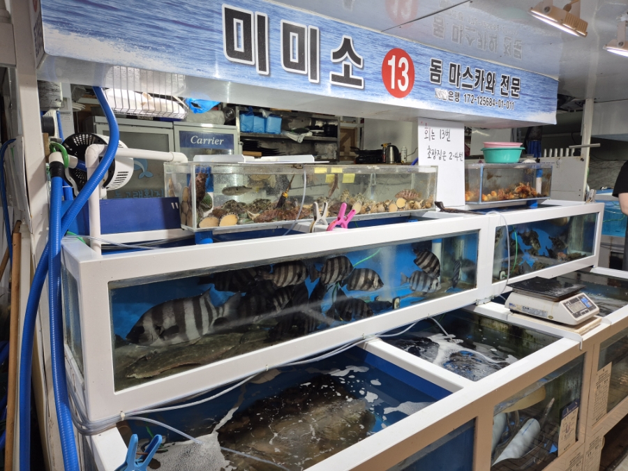 미미소 사진 4