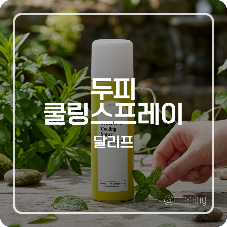  [올영추천] 여름에 두피 열 관리 안 하면 탈모? 달리프 두피 쿨링 스프레이 내돈내산 후기