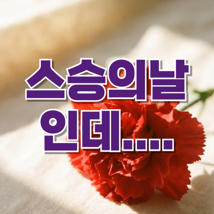  “스승의날인데 감사보다 두려움이 먼저”…요즘 선생님들이 가장 힘들어하는 현실
