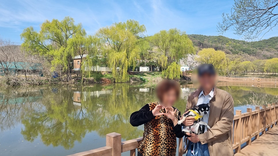 장인족발 본점 사진 5