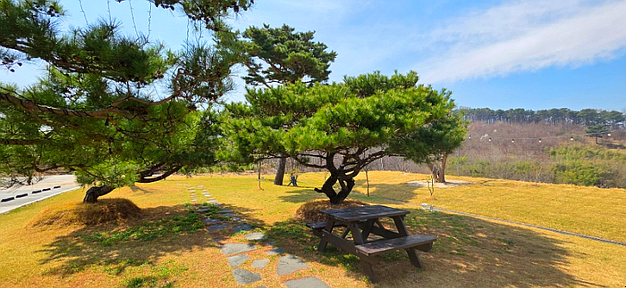 Joteunachimpeseuchyuri Hongseongnaepojeom photo 4