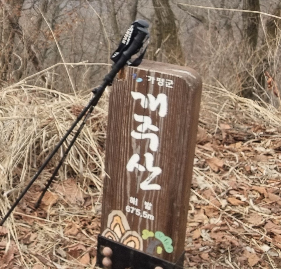 장인족발 본점 사진 3