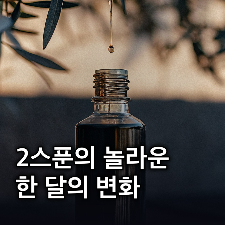  올리브오일 효능: 심혈관, 피부, 장 건강까지 챙기는