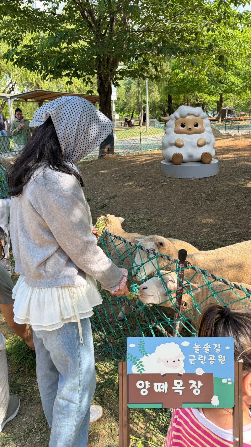 인천 피크닉 장소 추천 | 양떼목장이 있는 [늘솔길공원](+주차정보)