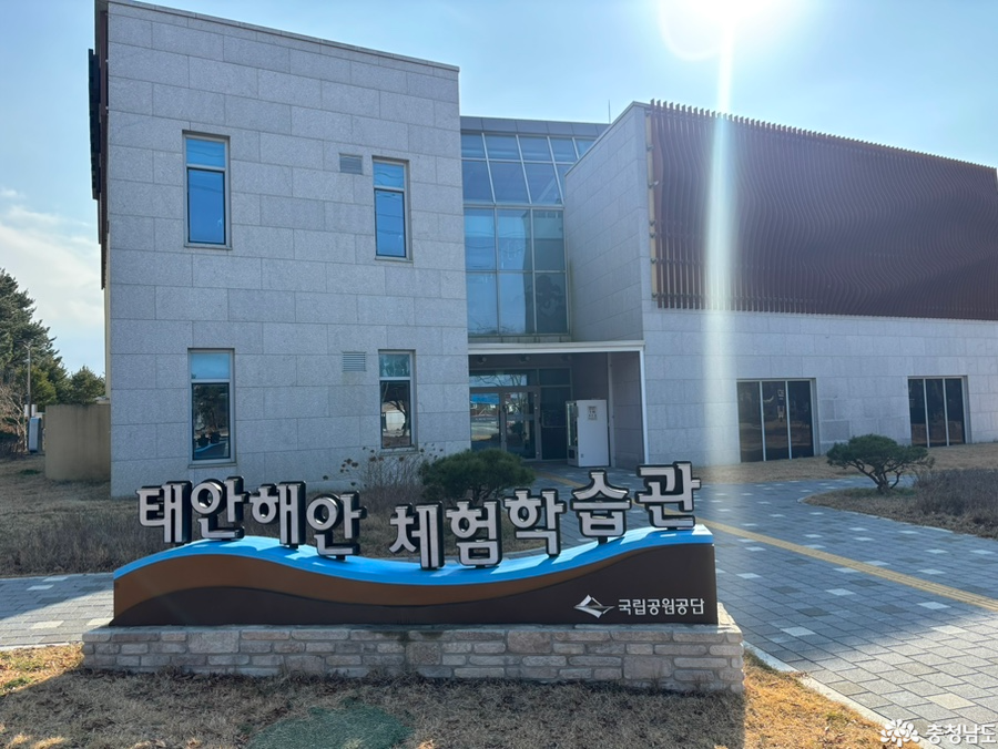 스톤스카이펜션 사진 1