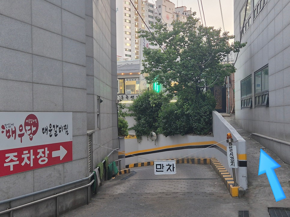 동죽연가 사진 6
