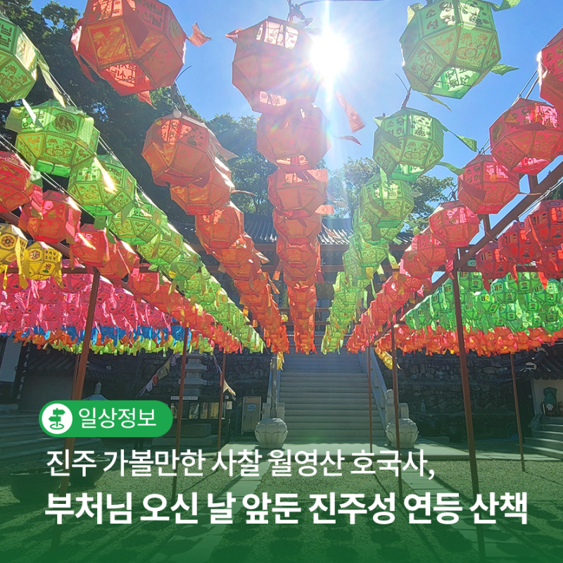 진주 가볼만한 사찰 월영산 호국사, 부처님 오신 날 앞둔 진주성 연등 산책 | SNS 서포터즈