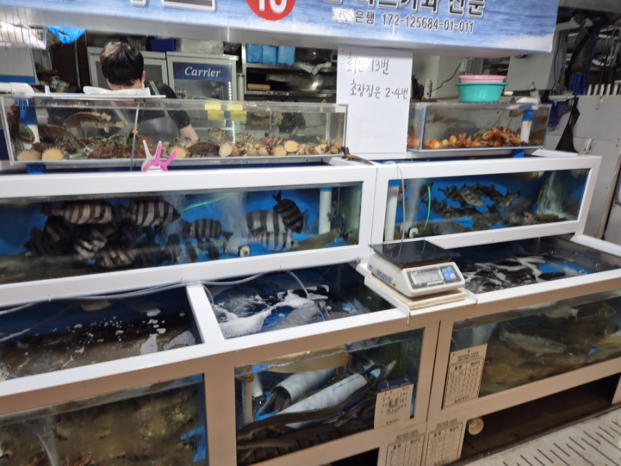 미미소 사진 6
