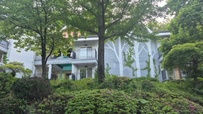 [장성여행] 방장산 자연휴양림 동백나무객실, 산새소리