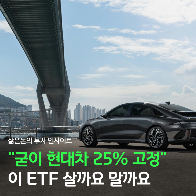 RISE 현대차고정피지컬AI ETF "굳이 현대차 25% 고정?"