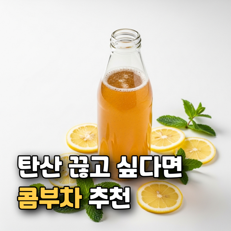  콤부차 효능 부작용 카페인 칼로리 총정리 | 다이어트에 진짜 좋을까?