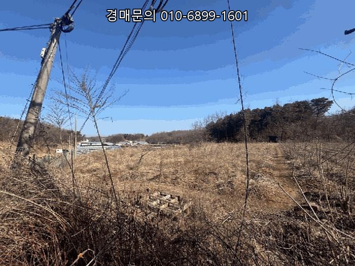  경기도 파주시 문산읍 당동리 658-2, 넓은 토지 위의 단독주택 법원경매, 철저한 분석으로 잡는 재진행 부동산 투자 기회! 2025타경61854