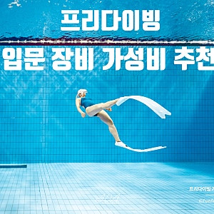 프리다이빙 입문 장비 뭐부터 사야 할까? 마스크 스노쿨 핀 고르는 법과 가성비 장비 추천
