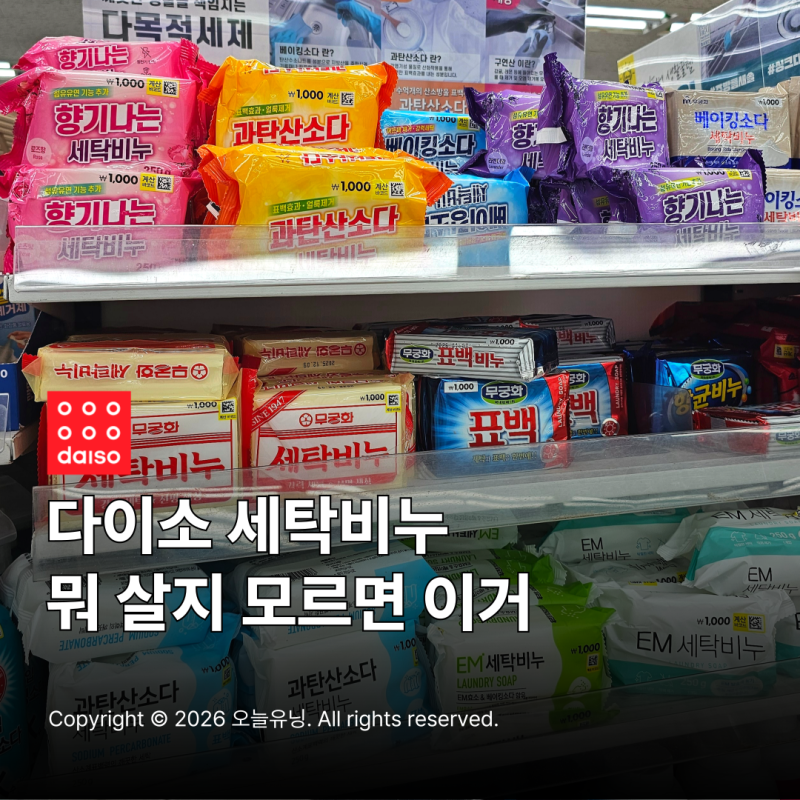 다이소 세탁비누 종류 뭐 살지 고민된다면 이거 보세요