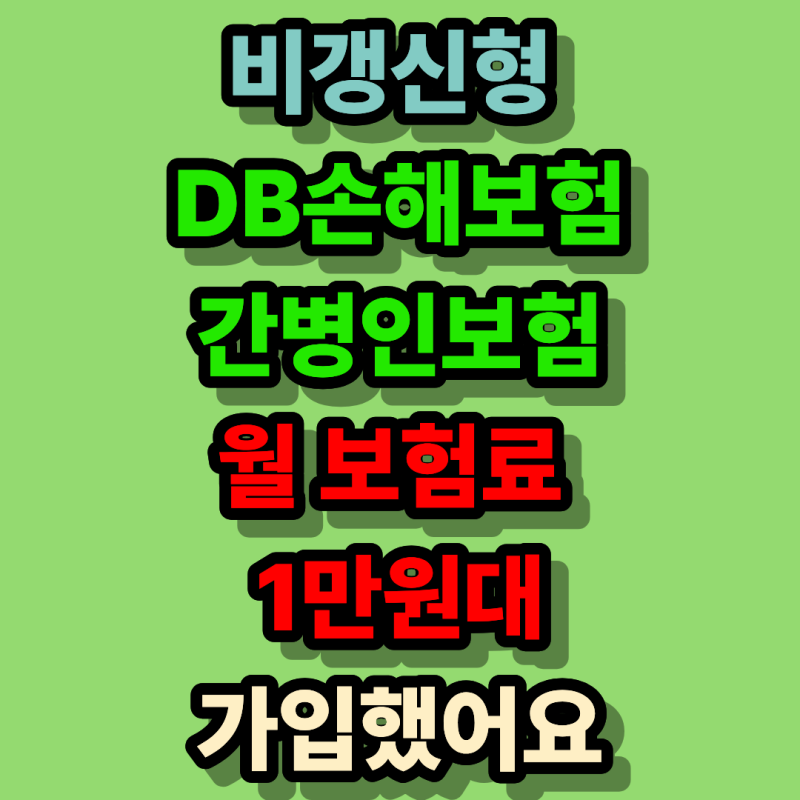 DB손해보험 간병인보험 비갱신형 월 보험료 1만원대 가입 후기