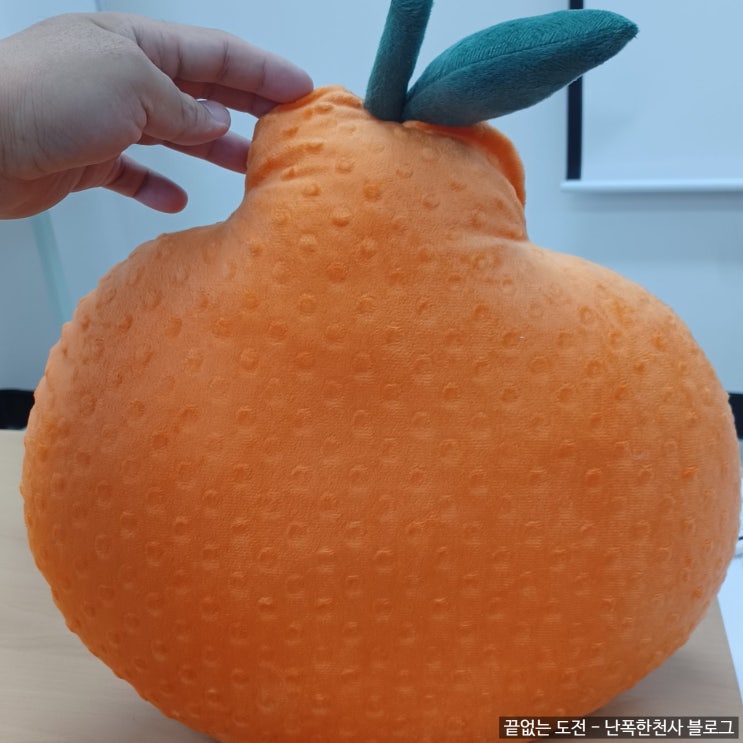 용담 다목적 생활문화센터 한라봉 쿠션 만들기 체험 후기