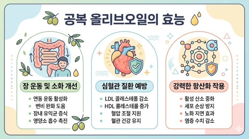 공복올리브오일 3줄 요약 효능 레몬즙과 복용 장단점