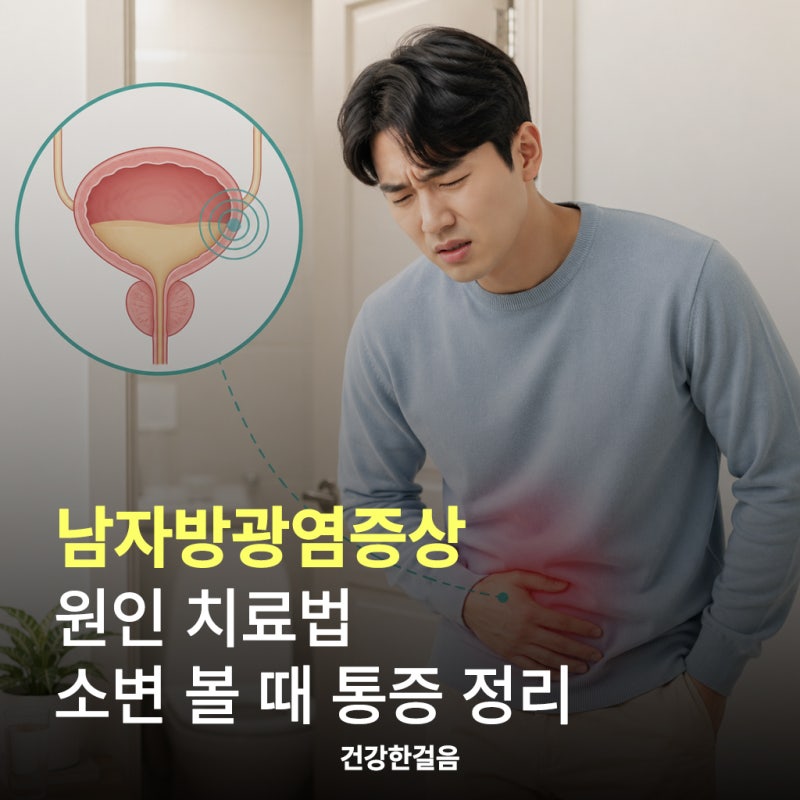 남자방광염증상 원인 치료법 소변 볼 때 통증 정리