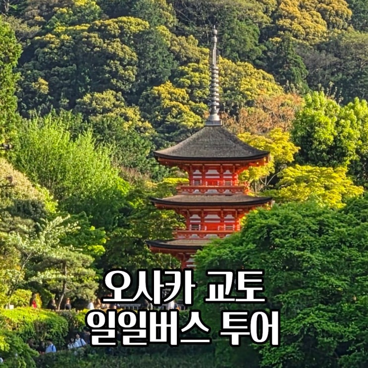  오사카 교토 여행 일일 버스투어 아라시야마, 금각사, 여우 신사, 기요미즈데라 방문후기