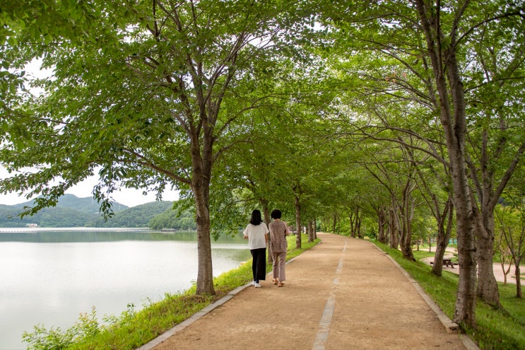  부산 금사동 쪽에서 조용히 걷기 좋은 길, 회동수원지 둘레길