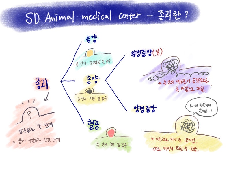 종괴가 무엇인지를 설명하는 이미지 해당 환자는 종괴 안에서 '기름'이 나왔습니다.