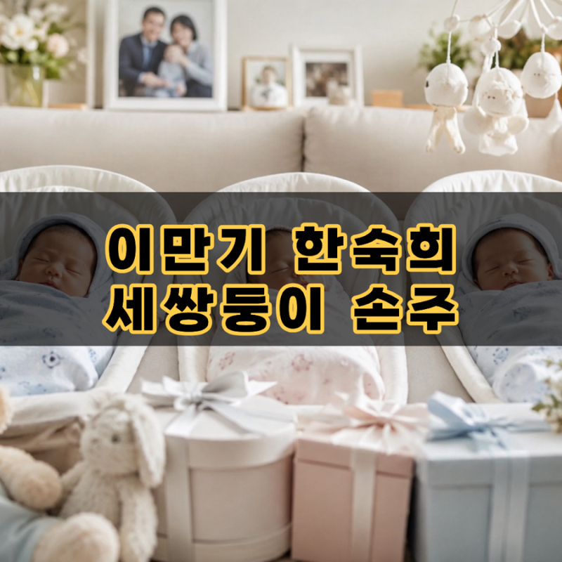 이만기 한숙희 부부 세쌍둥이 손주 득남 득녀 소식과 프로필 및 다둥이 지원 혜택 정리