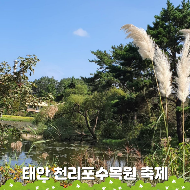 5월 봄축제 아이와 갈만한곳 태안 천리포수목원 입장료 가든스테이 숙소 카페