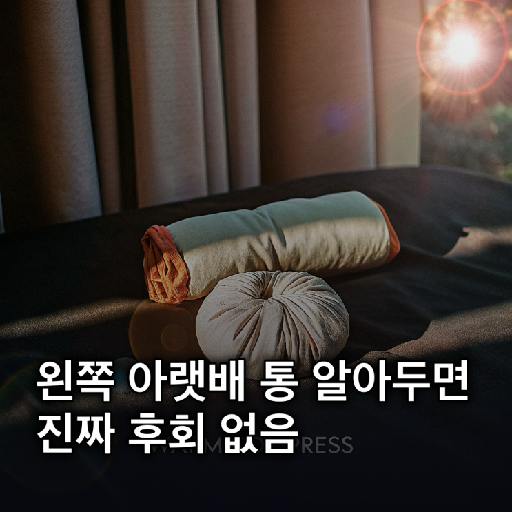  왼쪽 아랫배 통증, 원인별 증상과 응급 상황 총정리