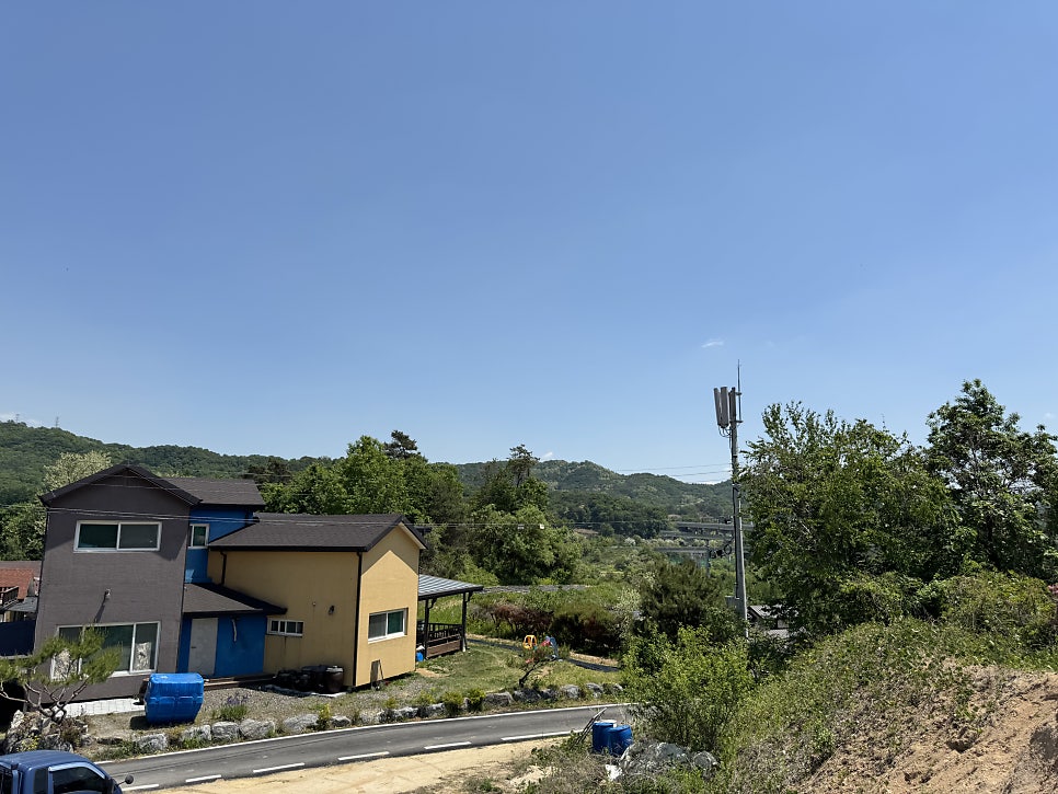 신평돌짜장 사진 3