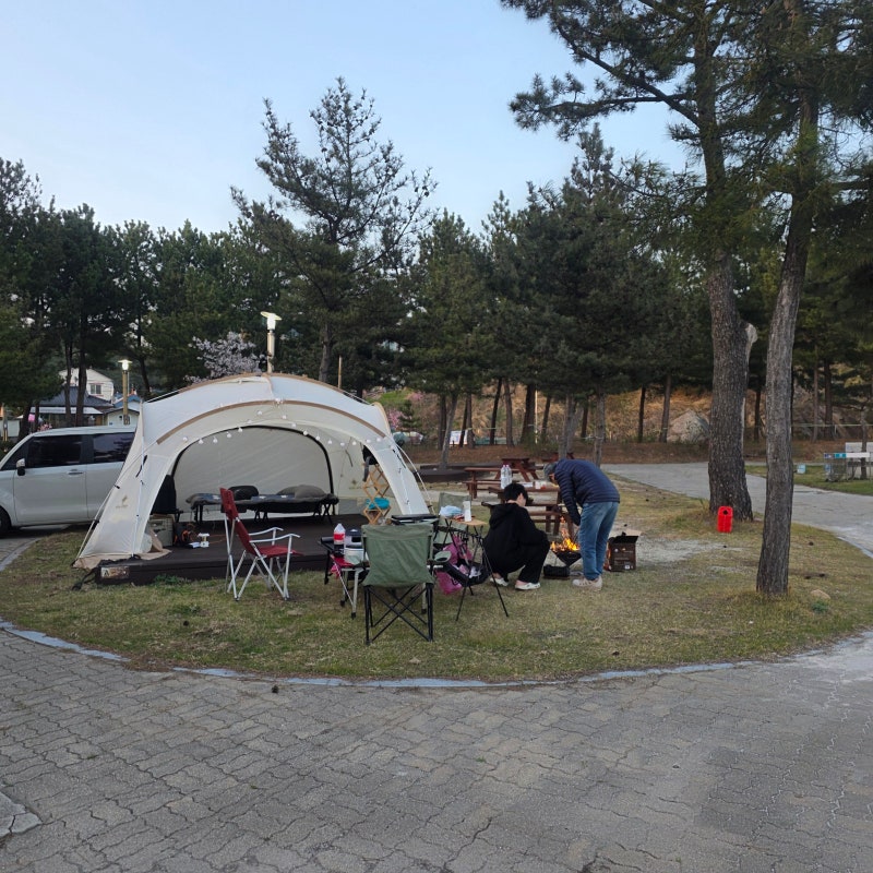 백도오토캠핑장 고성 해수욕장 오션뷰 명당 화로대 매점 샤워