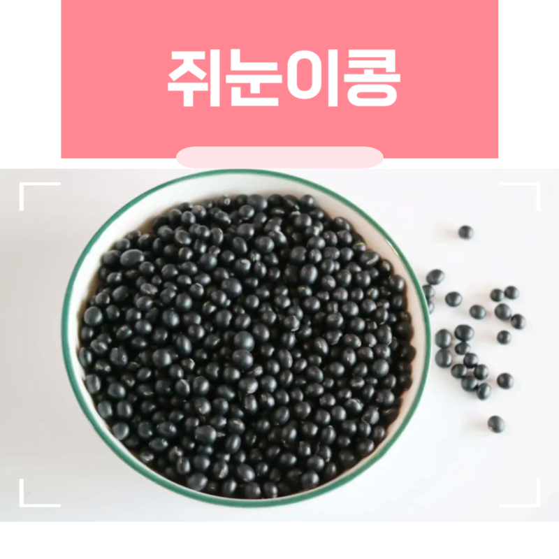 약콩 쥐눈이콩 효능 부작용 차 만들기