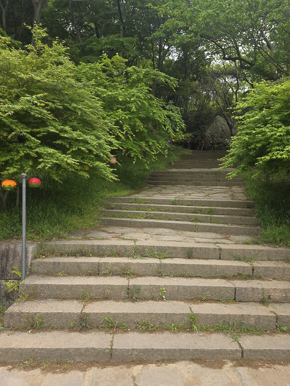 달마산 사진 5