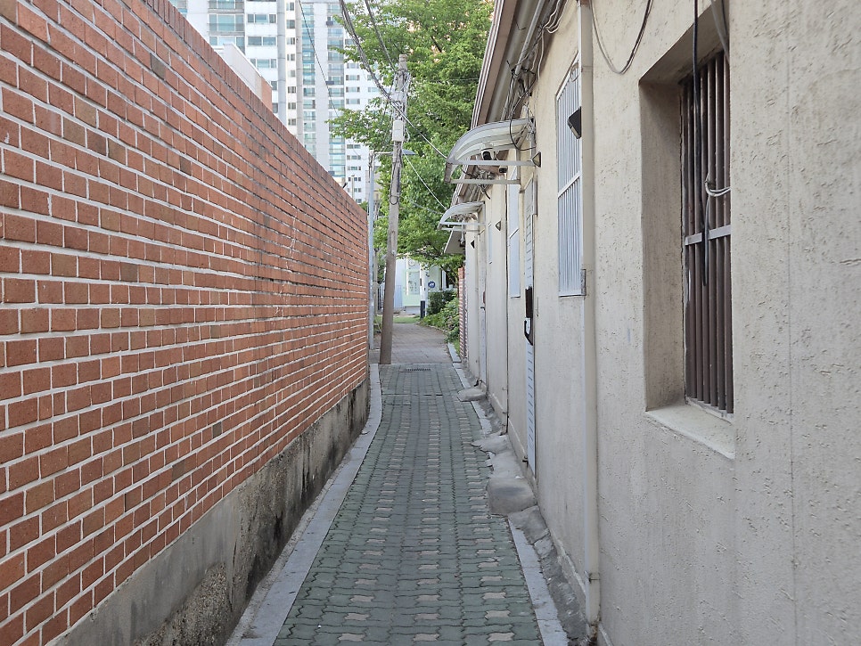 동죽연가 사진 2
