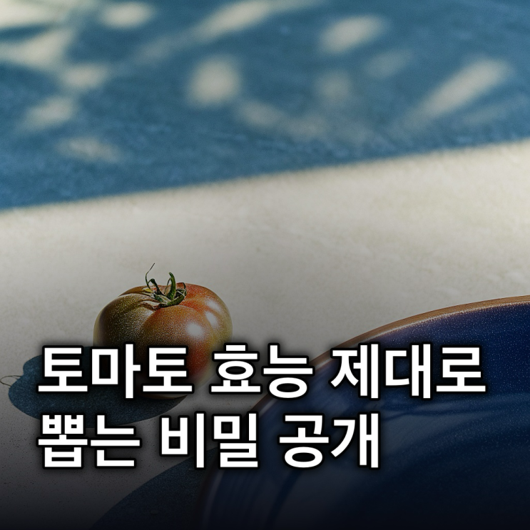  토마토 효능, 라이코펜 흡수 높이는 꿀팁!