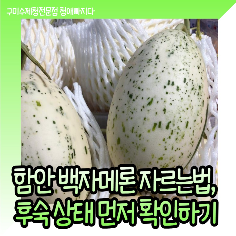 함안 백자메론 자르는법, 후숙 상태 먼저 확인하기